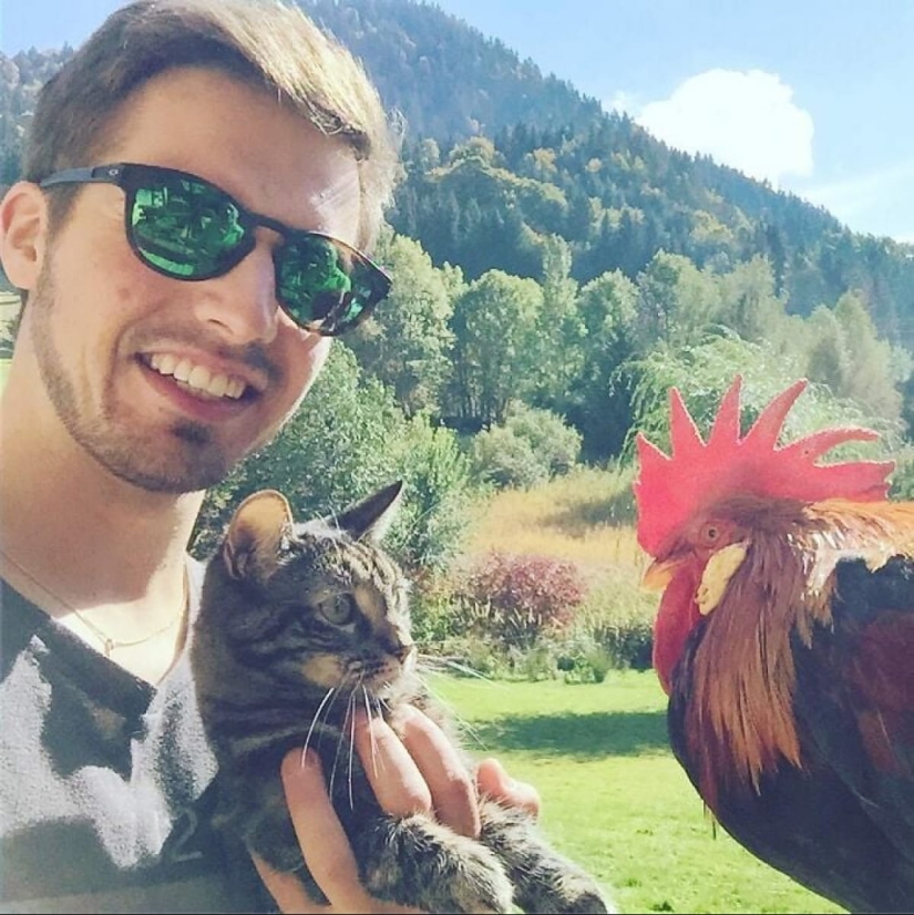 Skiing, surfing, parachuting: the cat from Instagram lives a hundred times more interesting than you