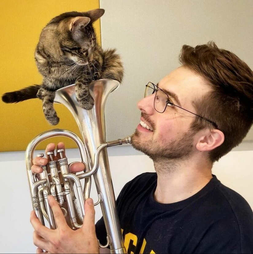 Skiing, surfing, parachuting: the cat from Instagram lives a hundred times more interesting than you