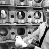 Skinner's experiment: what do superstitious people and pigeons have in common?