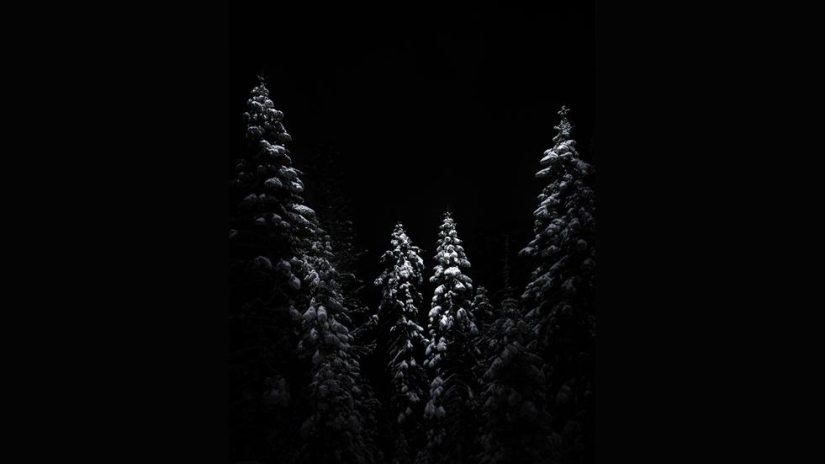 Slayer of darkness. Landscapes that night colorless