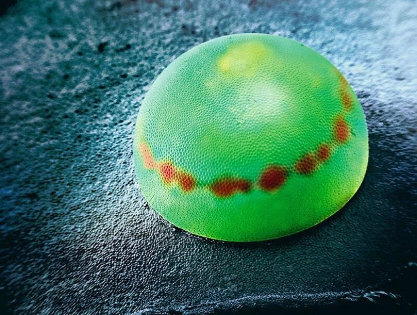 Sólo el más inteligente y ágil va a entender lo que está representado en estas fotos