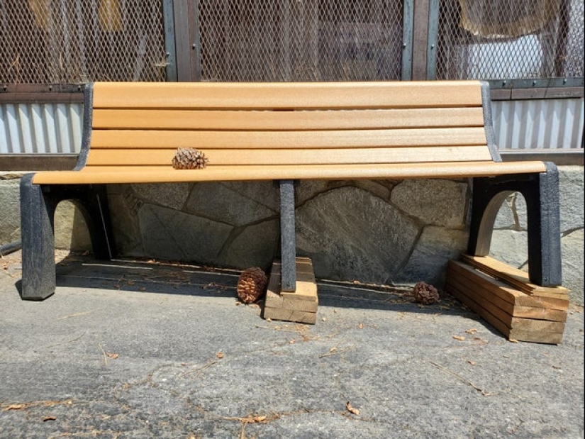 Smeared, molded: 22 crazy solutions to everyday problems that somehow worked Smeared, molded: 22 crazy solutions to everyday problems that somehow worked