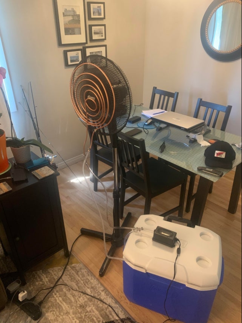 Smeared, molded: 22 crazy solutions to everyday problems that somehow worked Smeared, molded: 22 crazy solutions to everyday problems that somehow worked