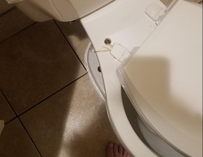 Smeared, molded: 22 crazy solutions to everyday problems that somehow worked Smeared, molded: 22 crazy solutions to everyday problems that somehow worked