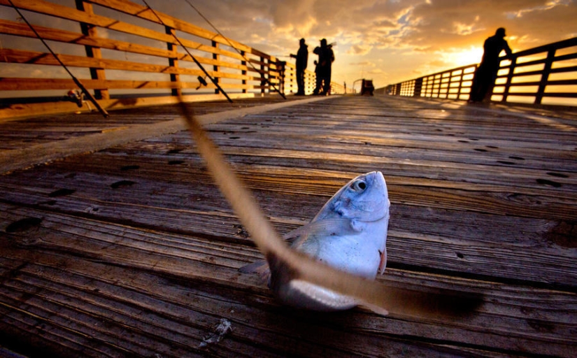 Sombra y luz Sombra y luz