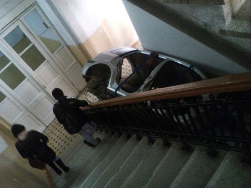 Some evidence that movers are people with iron muscles and nerves Some evidence that movers are people with iron muscles and nerves