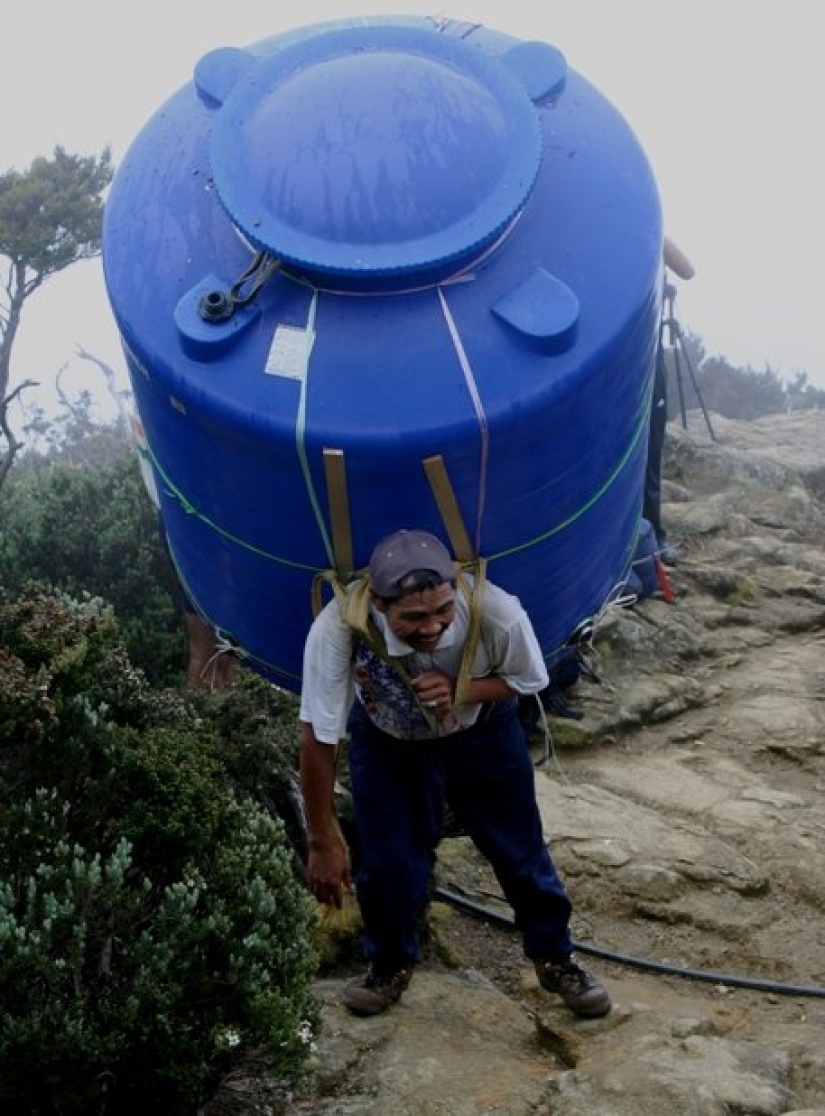 Some evidence that movers are people with iron muscles and nerves Some evidence that movers are people with iron muscles and nerves