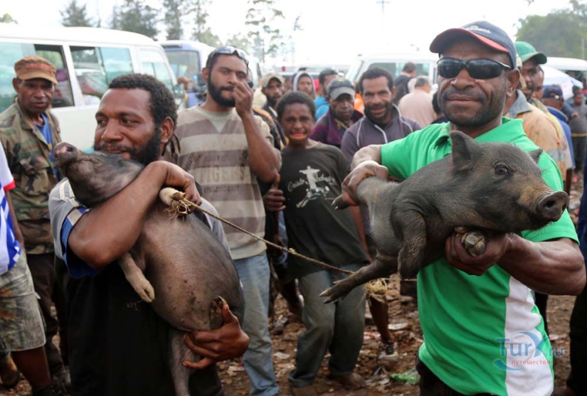 Some of the craziest ways to show love from different countries and eras Some of the craziest ways to show love from different countries and eras
