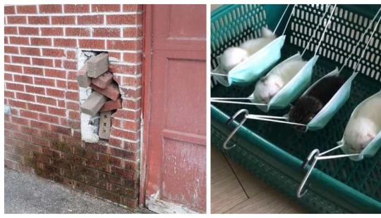 Soy ingeniero en casa de mi madre: 22 ejemplos de fotos cuando se hace torpemente, pero funcionalmente