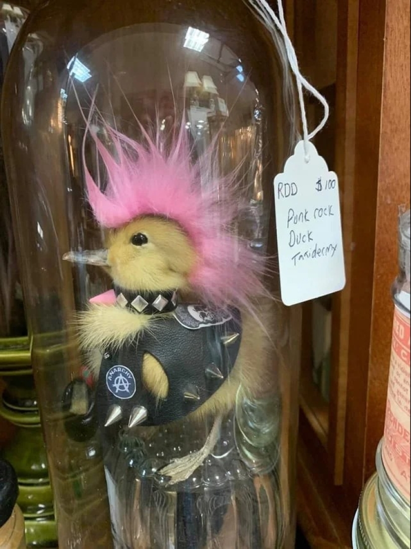 Stand or fall: 22 examples of strange creations from the world of design