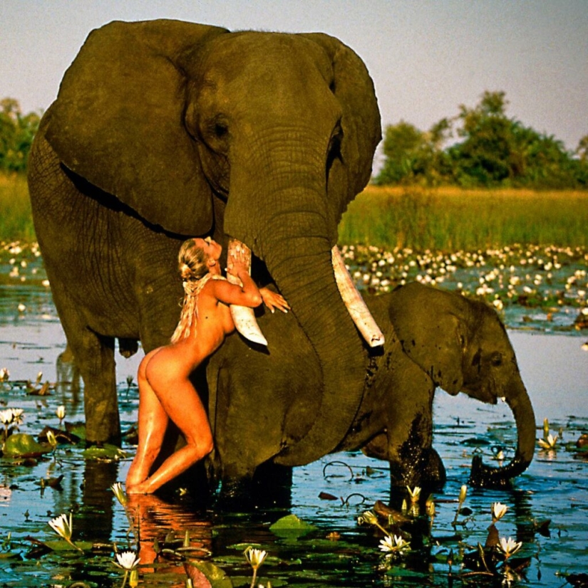 Stephen Wade: El fotógrafo que definió la estética Playboy