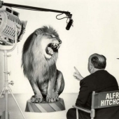 Strange celebrity photo