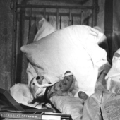 Strange covers of Soviet children's books that can break an adult brain