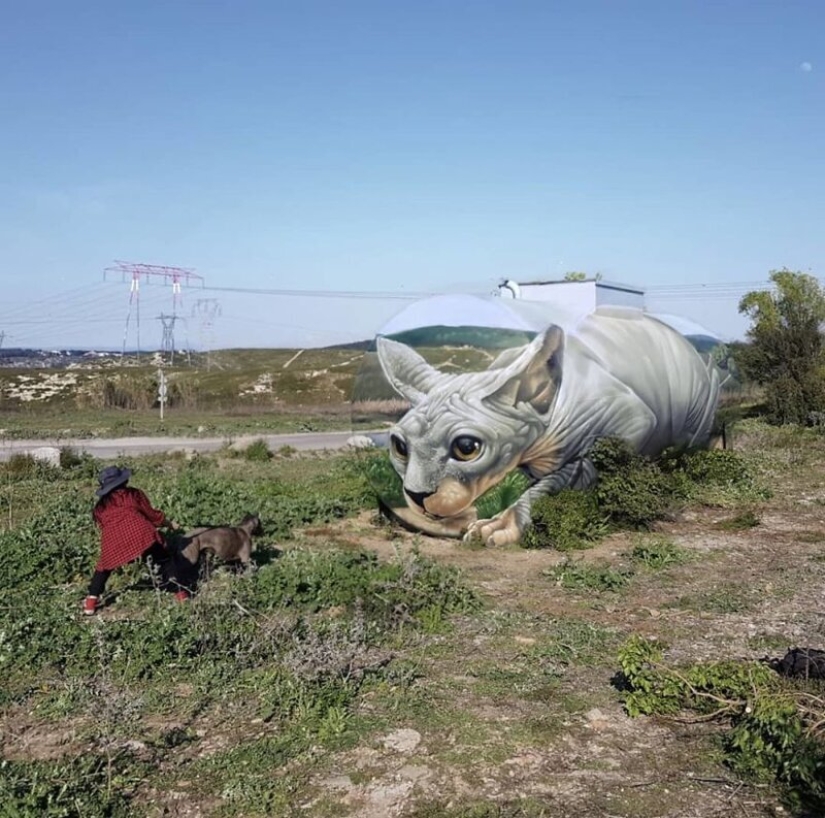 Street artist Tom Bragado Blanco and his stunning urban illusions