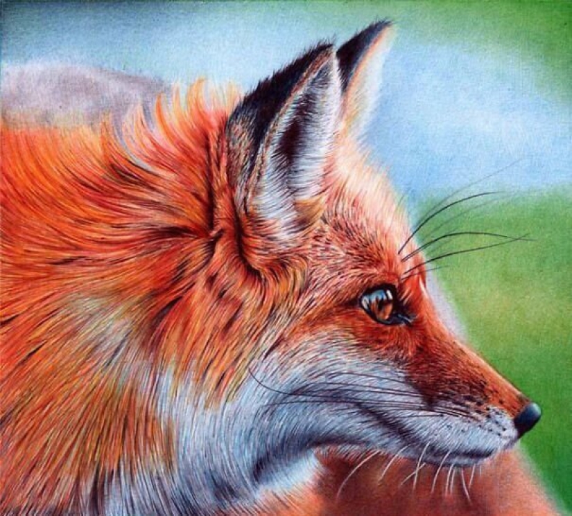 Stunning drawings in ballpoint pen from Samuel Silva Stunning drawings in ballpoint pen from Samuel Silva