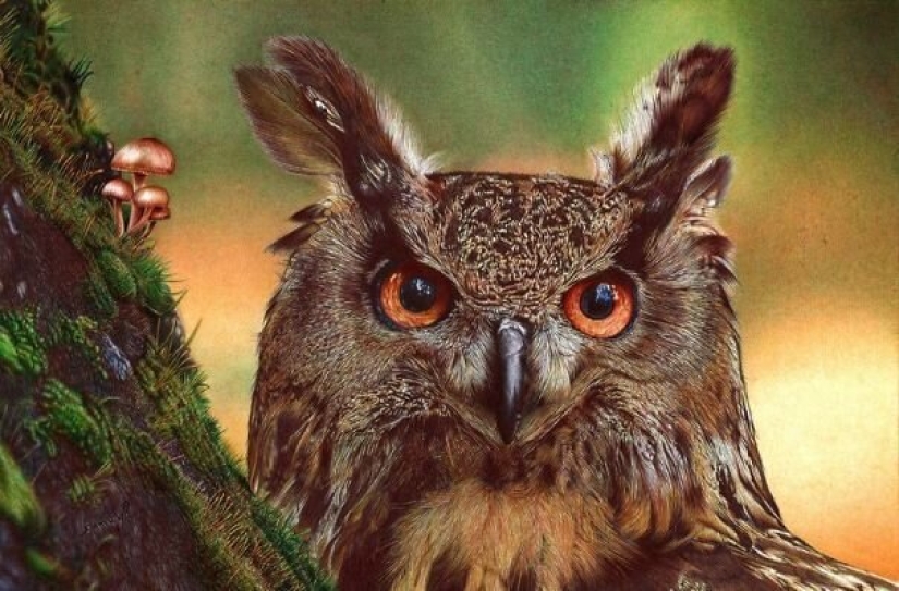 Stunning drawings in ballpoint pen from Samuel Silva Stunning drawings in ballpoint pen from Samuel Silva