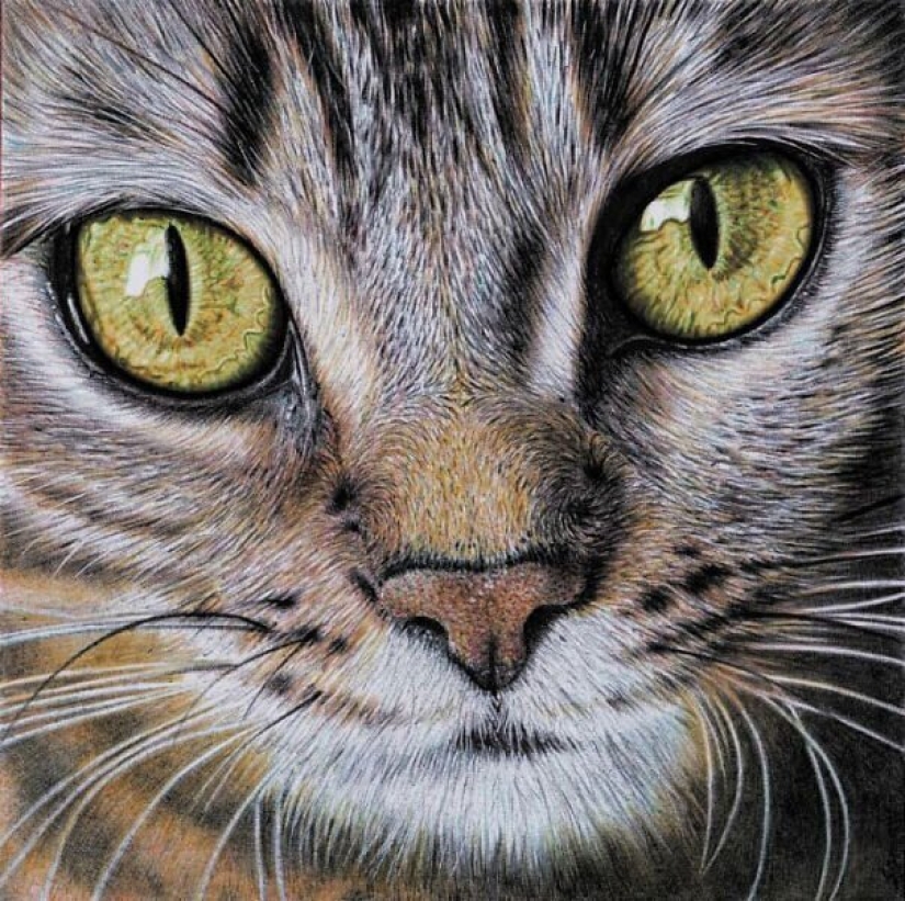 Stunning drawings in ballpoint pen from Samuel Silva Stunning drawings in ballpoint pen from Samuel Silva