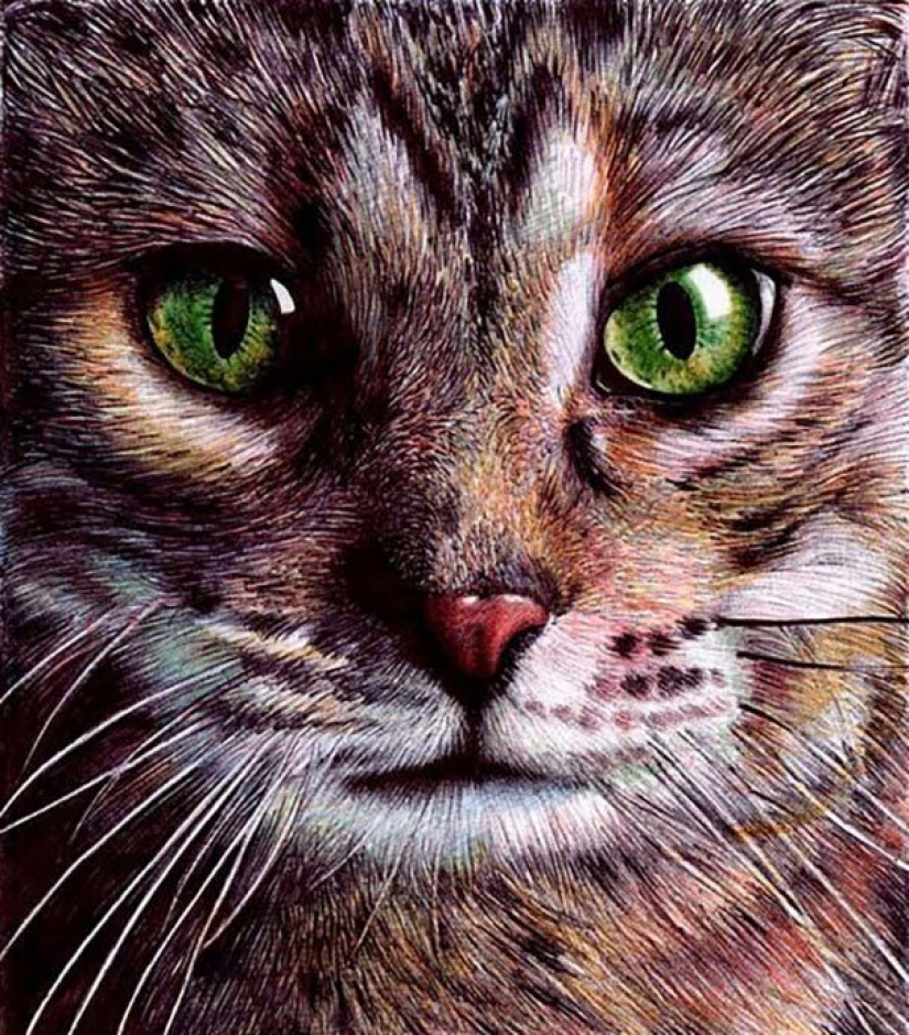 Stunning drawings in ballpoint pen from Samuel Silva Stunning drawings in ballpoint pen from Samuel Silva