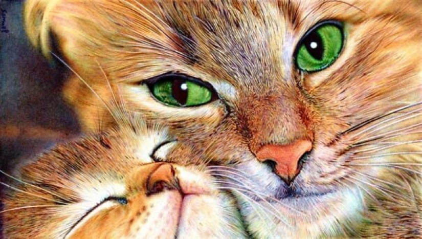 Stunning drawings in ballpoint pen from Samuel Silva Stunning drawings in ballpoint pen from Samuel Silva