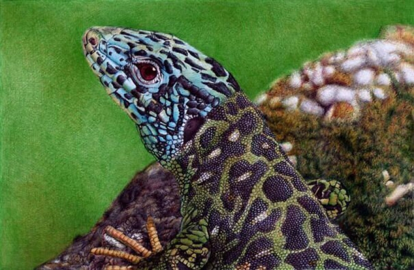 Stunning drawings in ballpoint pen from Samuel Silva Stunning drawings in ballpoint pen from Samuel Silva