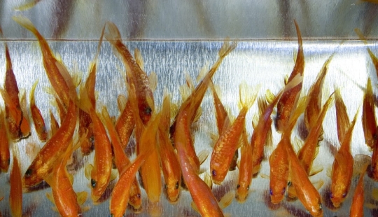 Stunning three-dimensional drawings by Japanese artist Ryusuke Fukahori Stunning three-dimensional drawings by Japanese artist Ryusuke Fukahori