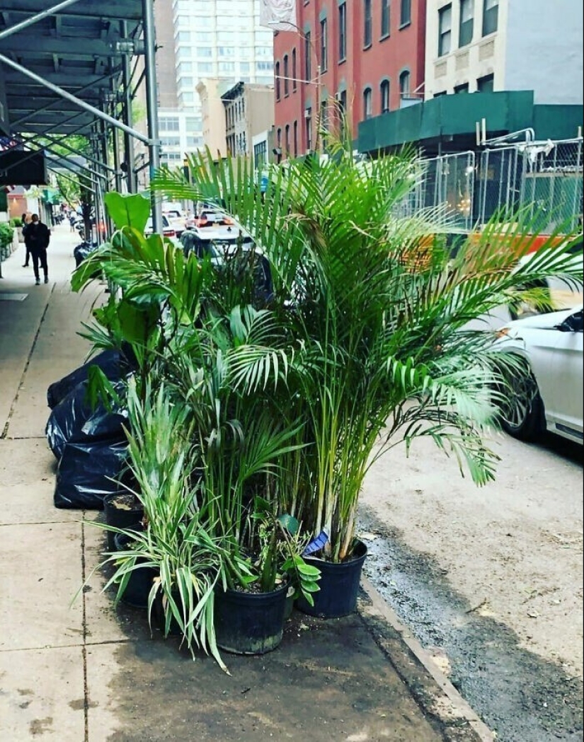 Suerte, suerte! 40 grandes cosas de Nueva York que alguien tiró