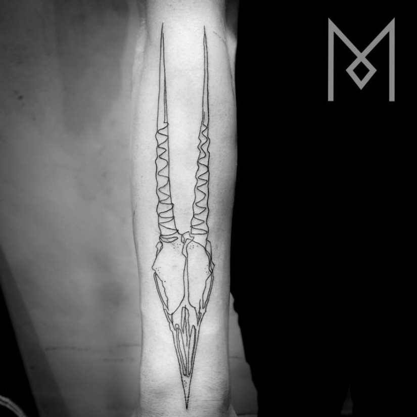 Super beautiful tattoos drawn in one line Super beautiful tattoos drawn in one line