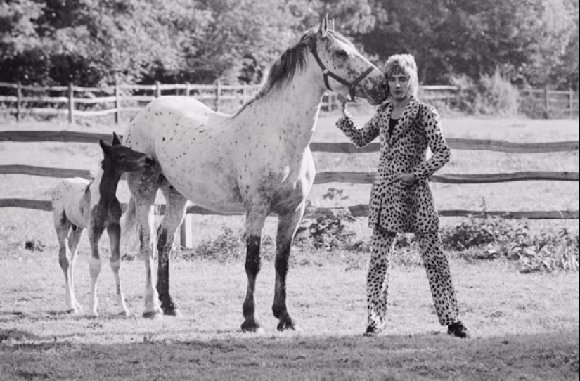 Superestrellas de la década de 1960, capturadas por el fotógrafo clásico Terry O'Neill Superestrellas de la década de 1960, capturadas por el fotógrafo clásico Terry O'Neill