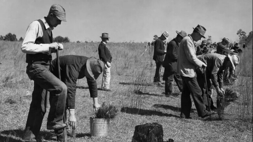 Supermarket, spam, electric guitar, and 7 other things that came about thanks to the Great Depression Supermarket, spam, electric guitar, and 7 other things that came about thanks to the Great Depression