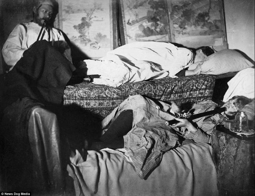 Sweet datura: photos of opium dens in the USA of the XX century