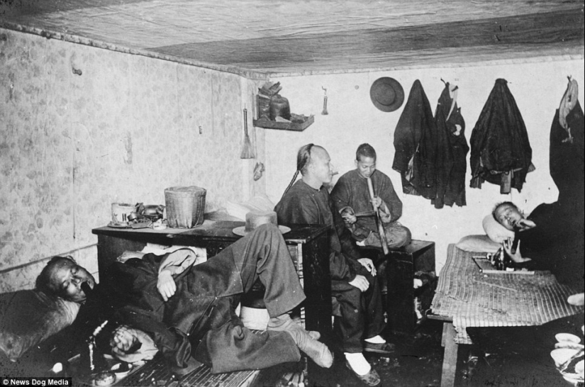 Sweet datura: photos of opium dens in the USA of the XX century
