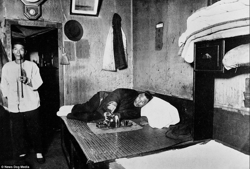 Sweet datura: photos of opium dens in the USA of the XX century