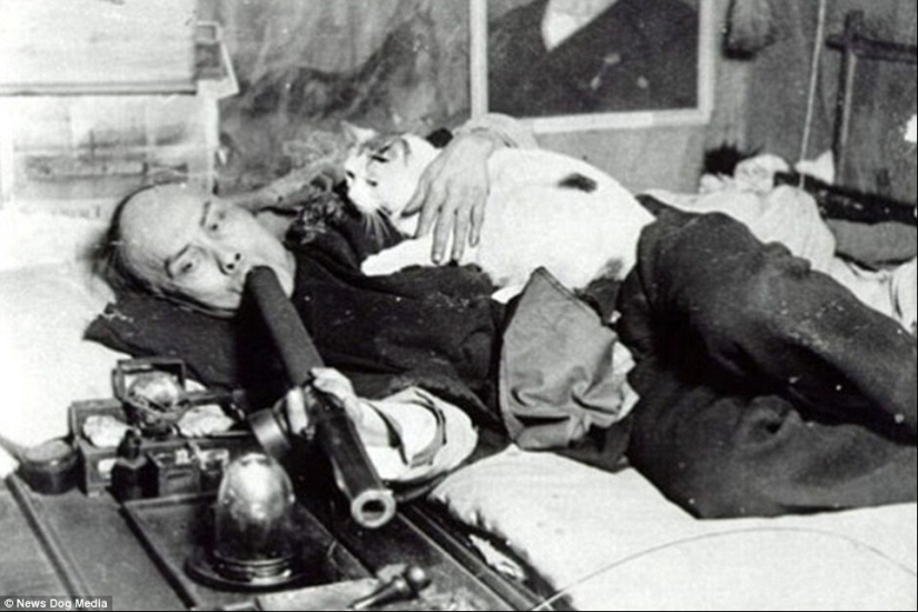 Sweet datura: photos of opium dens in the USA of the XX century