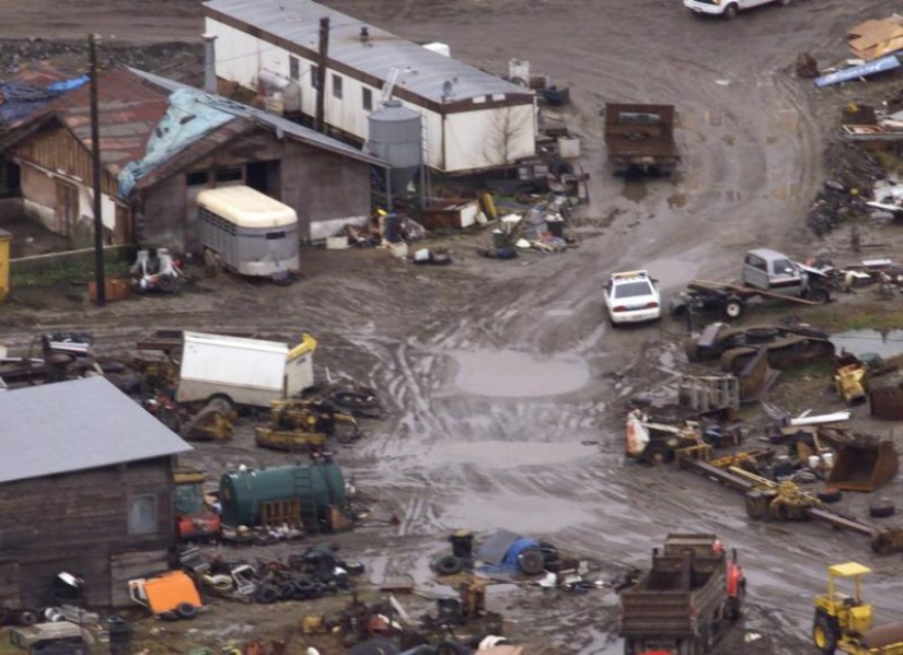 "Swineherd Killer" vs. a transgender detective: la historia de la captura del maníaco más terrible de Canadá