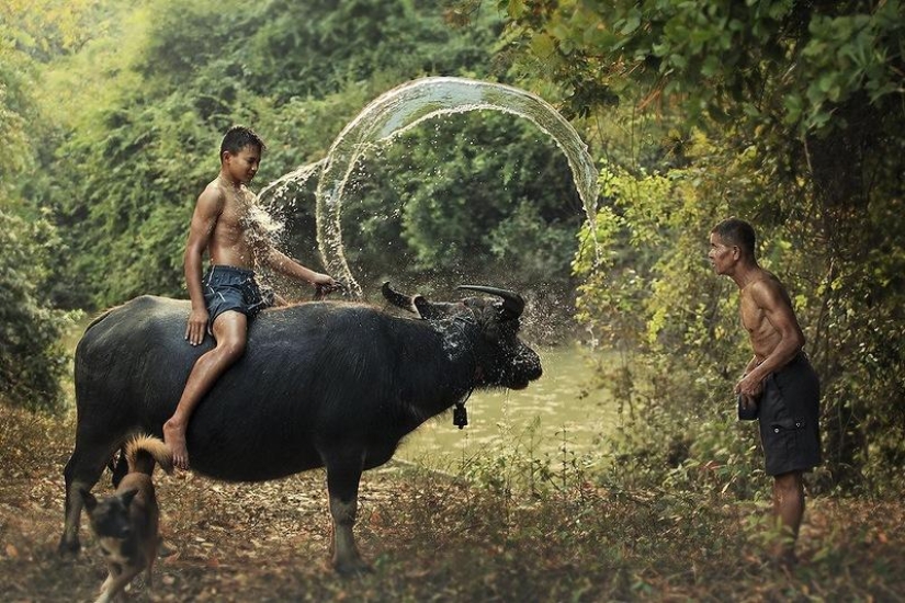 Tailandia fabulosamente hermosa en fotografías de Sarawut Vanset