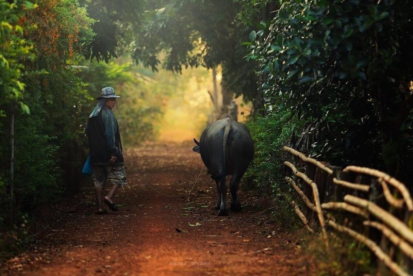 Tailandia fabulosamente hermosa en fotografías de Sarawut Vanset