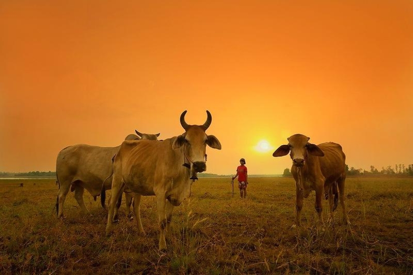 Tailandia fabulosamente hermosa en fotografías de Sarawut Vanset