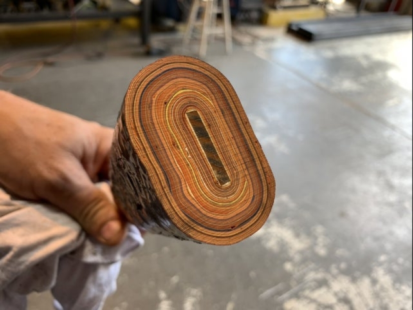 Take a look inside! 20 photos of items that are cut in half Take a look inside! 20 photos of items that are cut in half