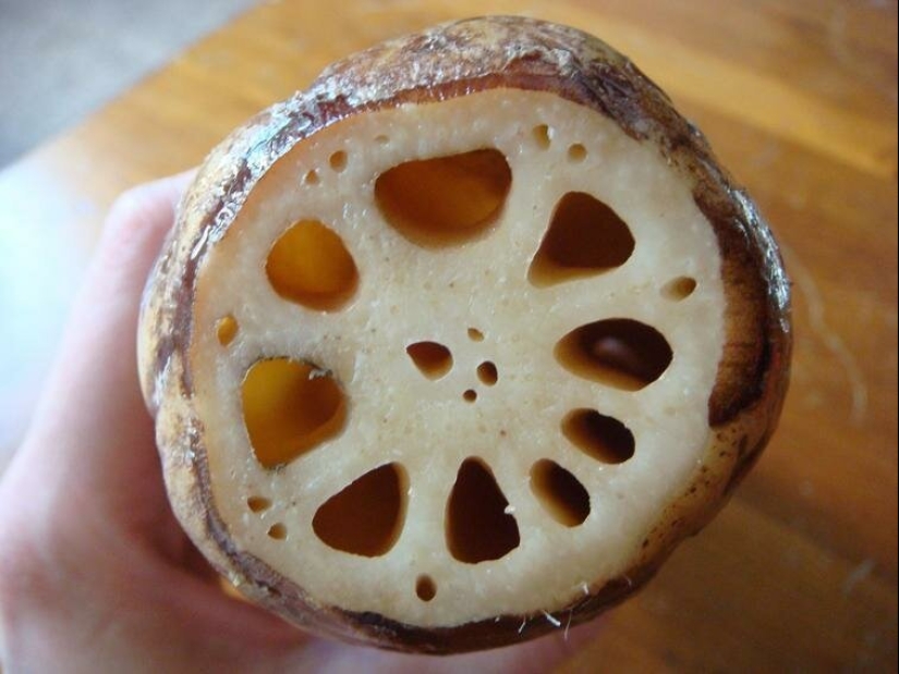 Take a look inside! 20 photos of items that are cut in half Take a look inside! 20 photos of items that are cut in half