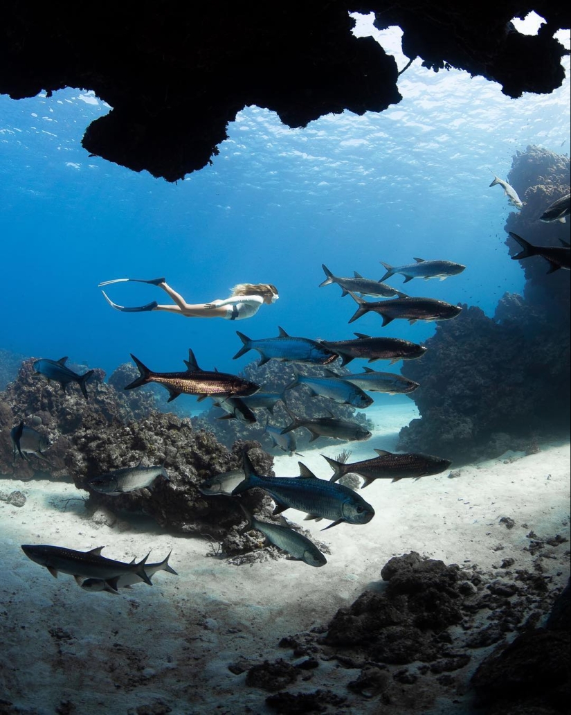 Talented photographer andré Musgrove makes an incredible underwater pictures