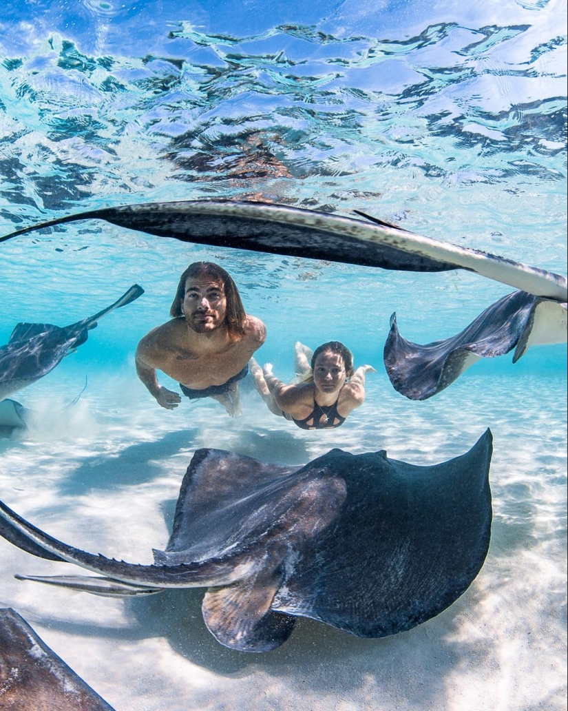 Talented photographer andré Musgrove makes an incredible underwater pictures