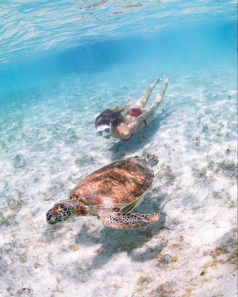 Talented photographer andré Musgrove makes an incredible underwater pictures