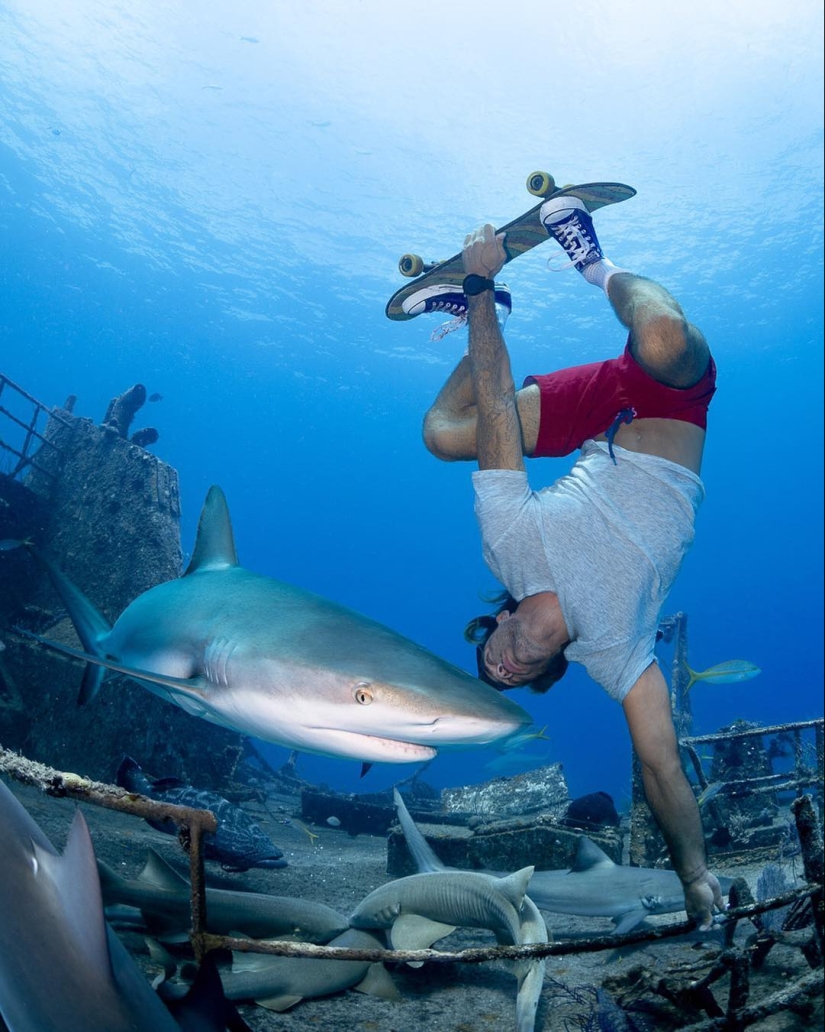 Talented photographer andré Musgrove makes an incredible underwater pictures