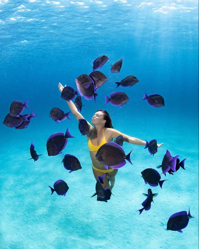 Talented photographer andré Musgrove makes an incredible underwater pictures