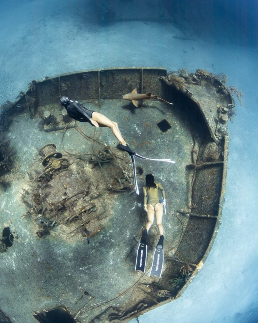 Talented photographer andré Musgrove makes an incredible underwater pictures