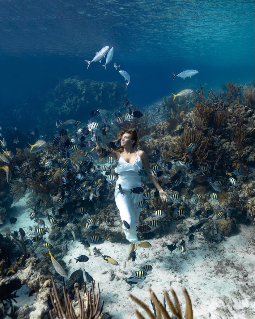 Talented photographer andré Musgrove makes an incredible underwater pictures