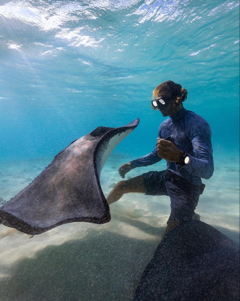 Talented photographer andré Musgrove makes an incredible underwater pictures