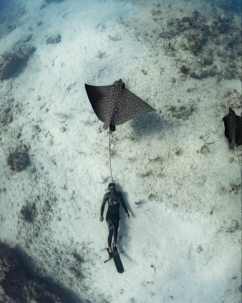 Talented photographer andré Musgrove makes an incredible underwater pictures