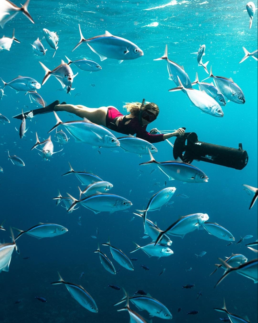 Talented photographer andré Musgrove makes an incredible underwater pictures