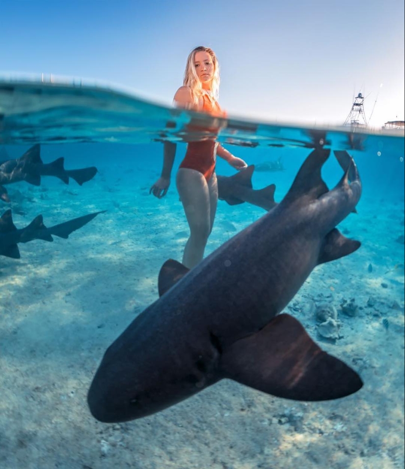 Talentoso fotógrafo andré Musgrove hace una increíble fotos bajo el agua